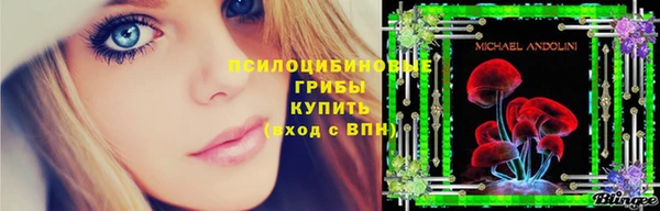 герыч Алексин