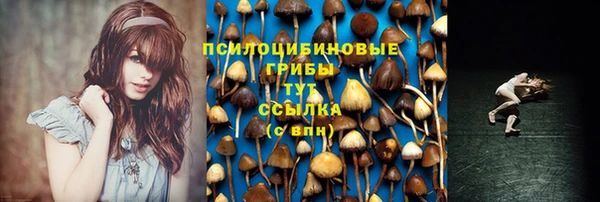 эйфоретик Арсеньев