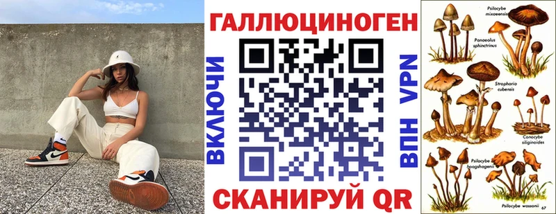 mega онион Ахтубинск Псилоцибиновые грибы ЛСД